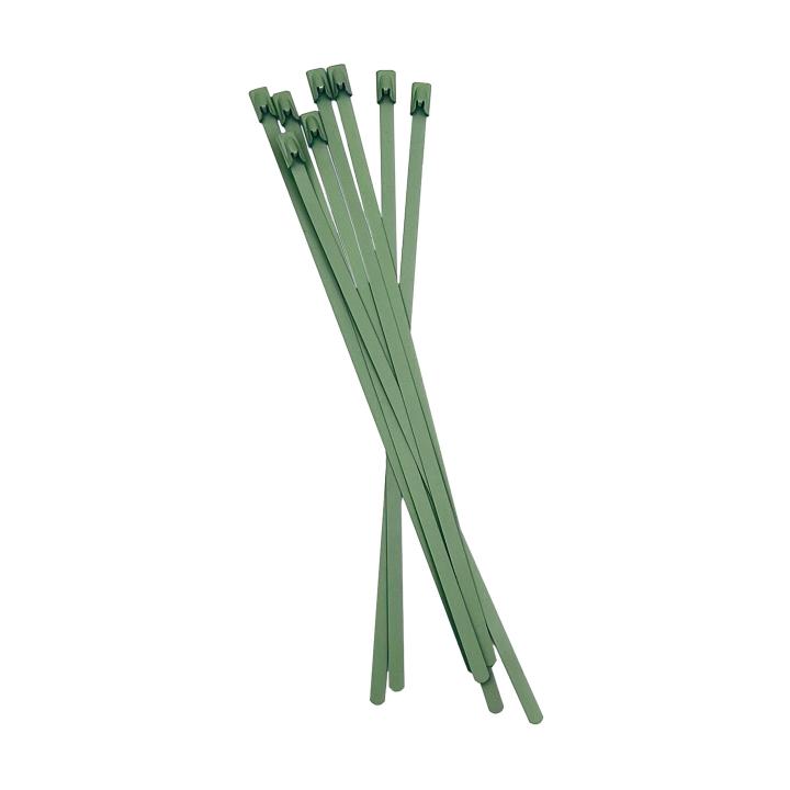 Image of CSSOLIVE200